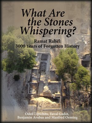 cover image of What Are the Stones Whispering?